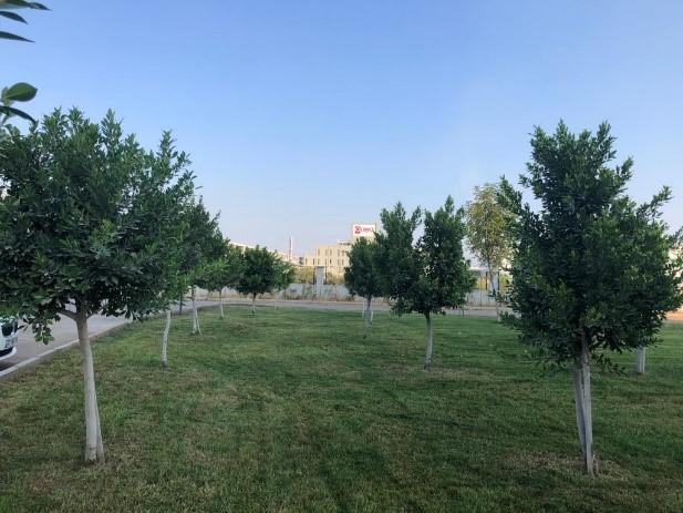 Kız Yurdu Arka Bahçesi