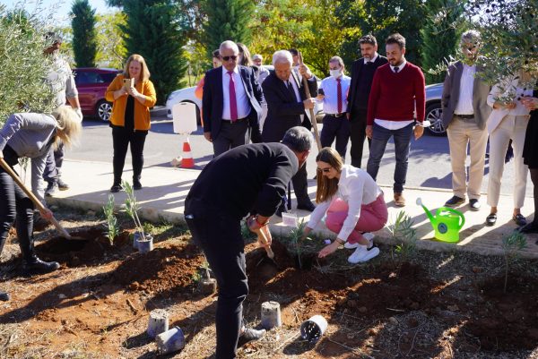 11 Kasım Milli Ağaçlandırma Günü