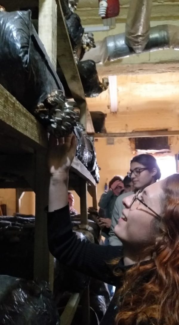 antalya-korkuteli-deki-mantar-ureticilerine-gezi5d0a3d07496f0.jpeg