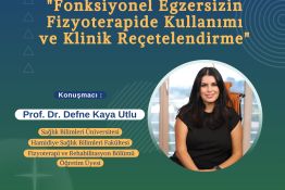 Fonksiyonel Egzersizin Fizyoterapide Kullanımı ve Klinik Reçetelendirme