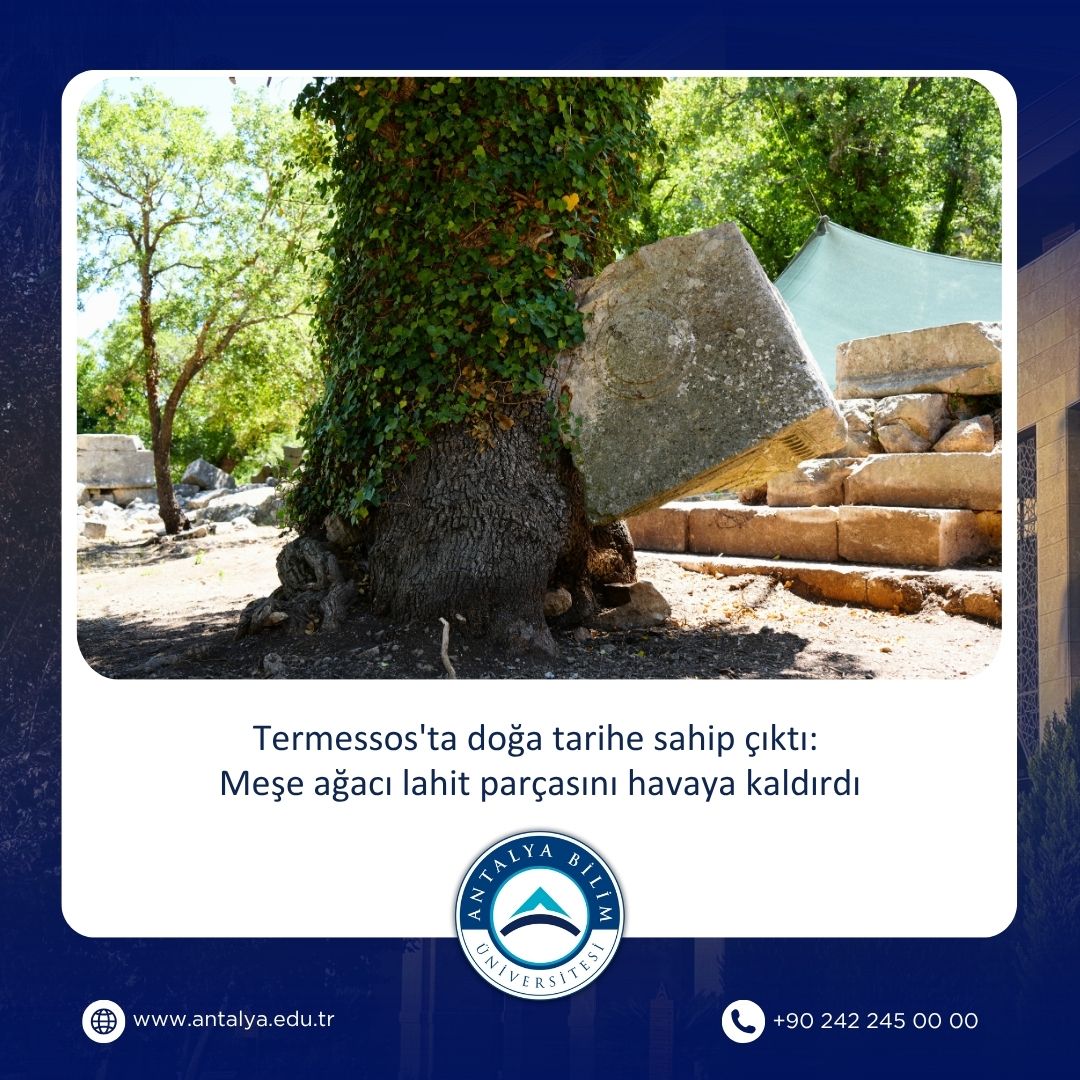 Termessos'ta doğa tarihe sahip çıktı: Meşe ağacı lahit parçasını havaya kaldırdı